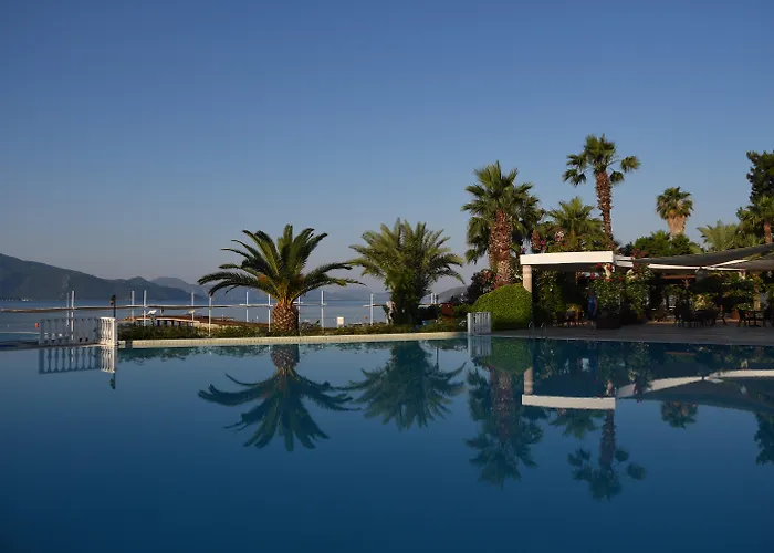 Hotel & 5*