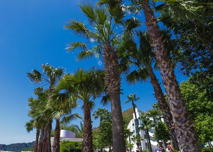 & Marmaris
